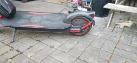 IMG_20220322_182900.webp