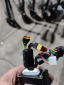 395715861_24777968698469489_3011051805802322112_n.webp