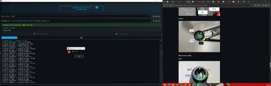 bwflasher.webp