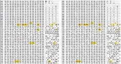 F2StockClone.webp F2StockClone.webp