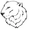 Icebear1981