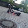 Prosnek_1503