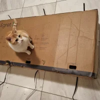 Egret x unpacking 3.jpg