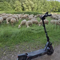 WhatsApp Bild 2025-06-08 um 18.55.53_6899ec1d.webp