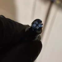 WhatsApp Bild 2025-08-14 um 02.17.00_50bac90a.webp